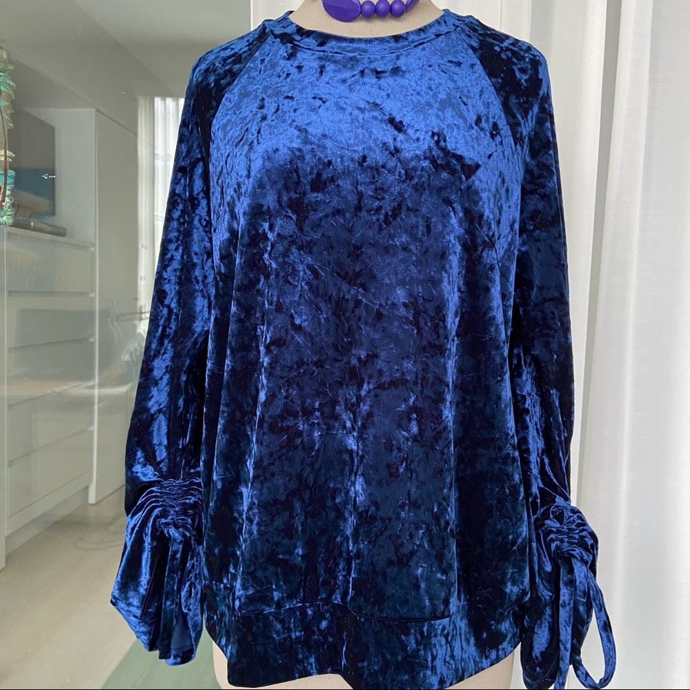 Ro&De Deep Blue Crushed Velour Top size L